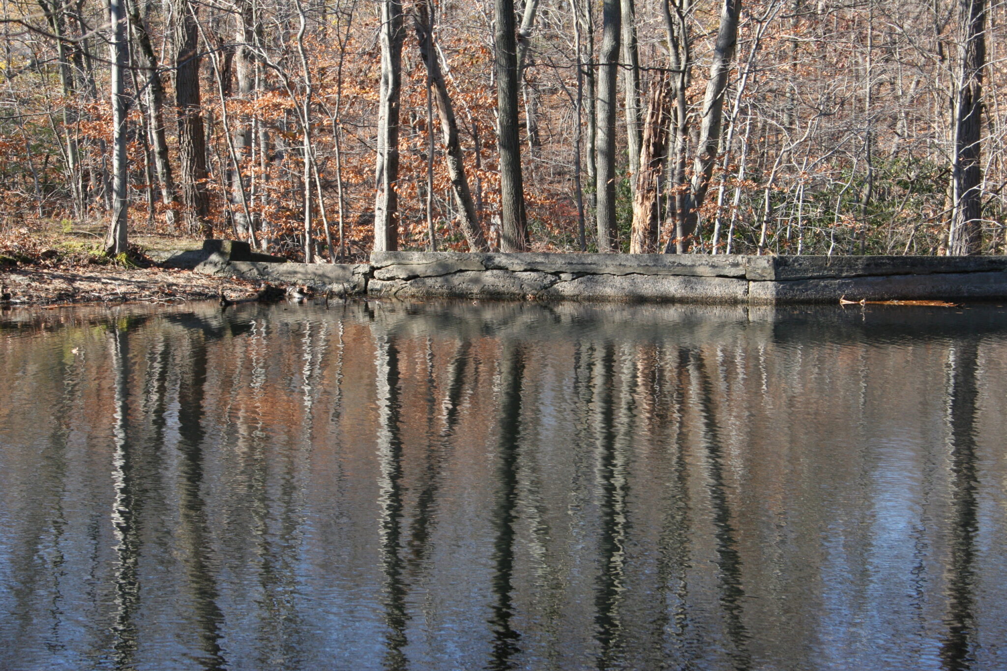 Upper Minkel Dam (Decommissioning) - Tectonic